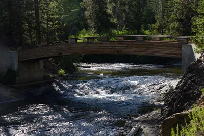 DSC_3518 (Large).JPG